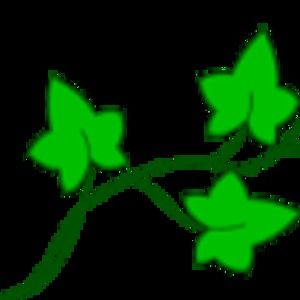 Meet your Posher, Beverly